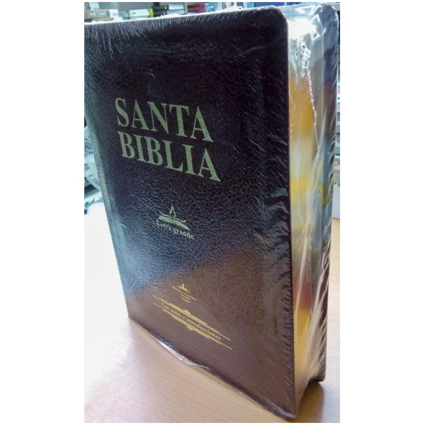 Santa Biblia Letra Gig Con Concordancia, Rvr1960, Color Vino - Image 2