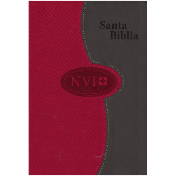 Biblia Nvi Letra Grande, Dos Tonos Gris/ladrillo