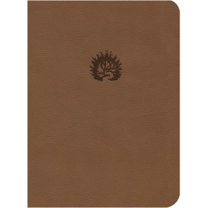 Biblia de Estudio de La Reforma Símil Piel Café Claro LBLA
