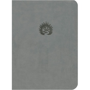 La Biblia de Estudio de La Reforma Gris