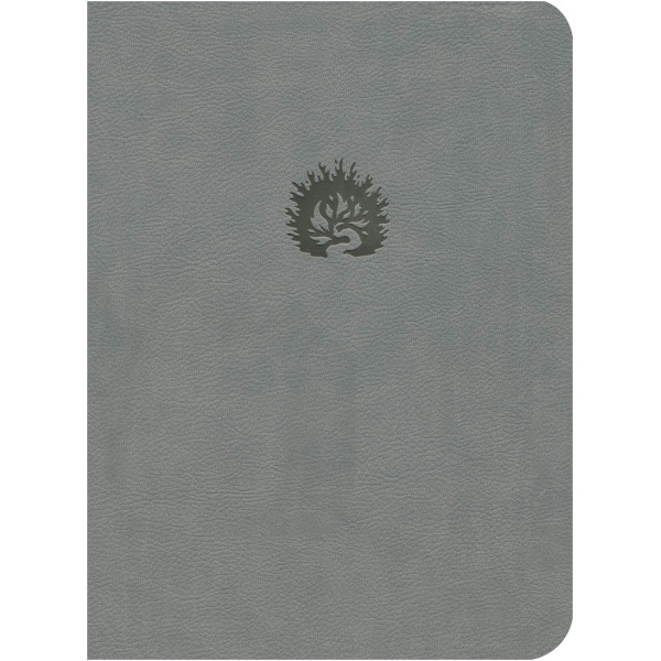 La Biblia de Estudio de La Reforma Gris
