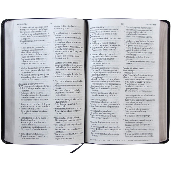Biblia Reina Valera 1960 Letra Grande. Símil Piel Color Negro, Tamaño Manual - Image 3