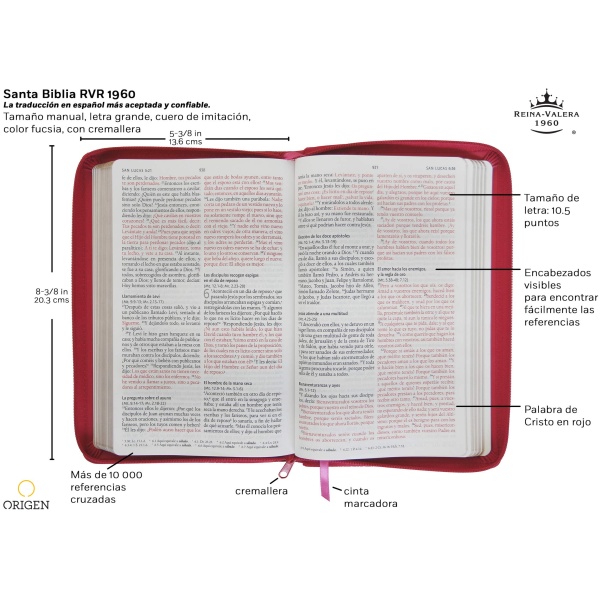 Biblia RV 1960 Letra Grande Símil Piel Fucsia - Image 3