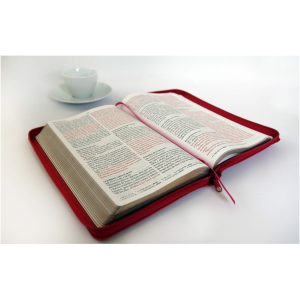 Biblia RV 1960 Letra Grande Símil Piel Fucsia - Image 4