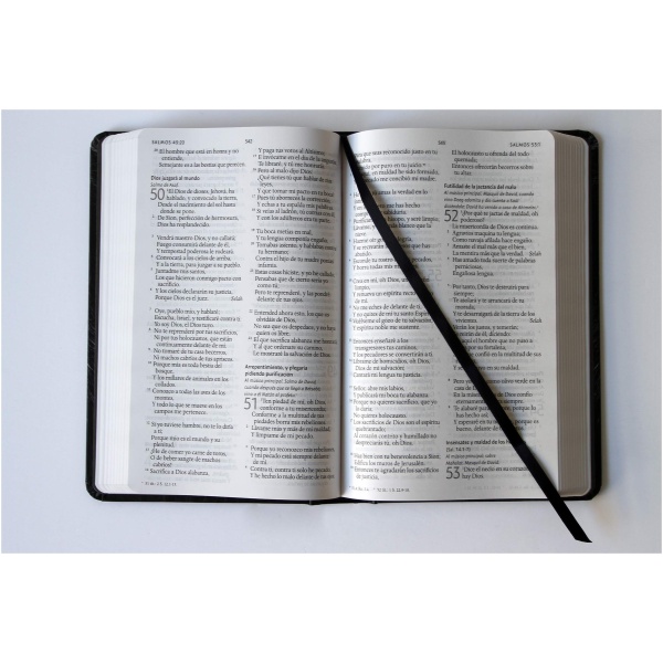 Biblia RVR1960 Letra Grande Tapa Dura León de Judá - Image 2
