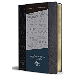 Biblia RVR1960 Lt Grande Manual Simil Piel Negro Nombres de Dios I 10.5pt