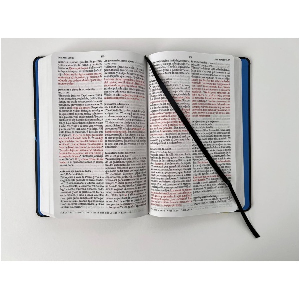 Biblia RVR1960 Letra Grande Manual León De Juda Tapa Dura 10.5pt - Image 3