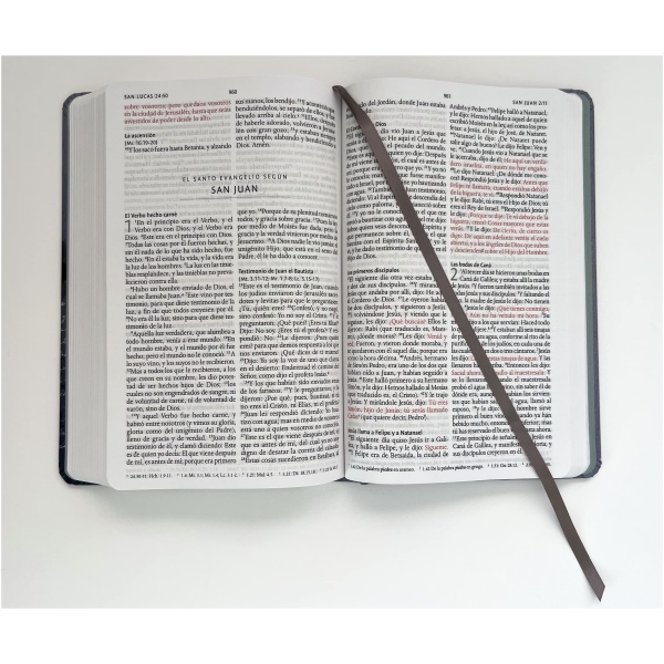 Biblia RVR1960 Letra Grande Manual León Rey De Reyes Tapa Dura 10.5pt - Image 2