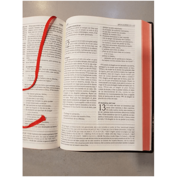 Biblia Mediana Edición De Referencias Dhh Vinil Negro - Image 4