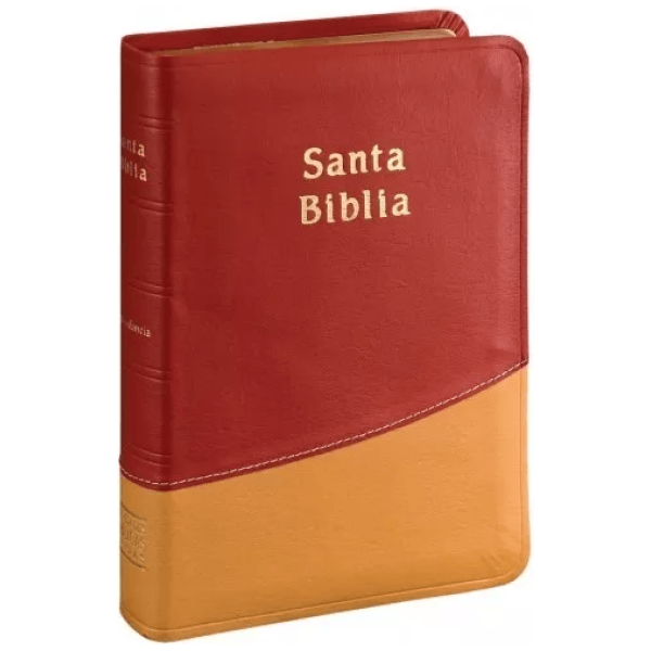 Biblia Tamaño Chico Rvr1960, Duo Tono, Imitación Piel