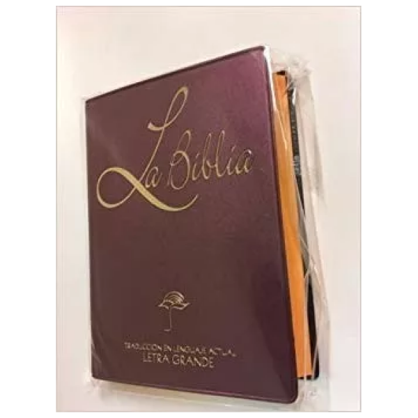 Biblia Tamaño Chico Rvr1960, Color Vino, Tapa Vinil