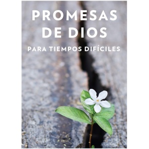Promesas de Dios para tiempos difíciles