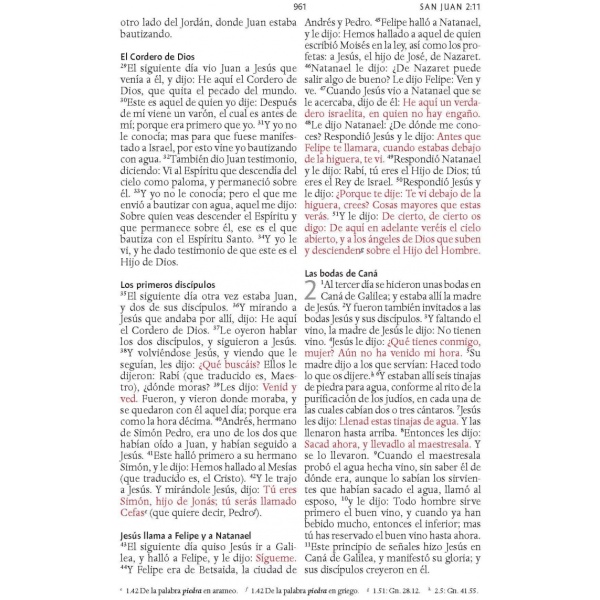 Biblia RVR1960 Letra grande tapa dura negra imágenes de Tier - Image 4