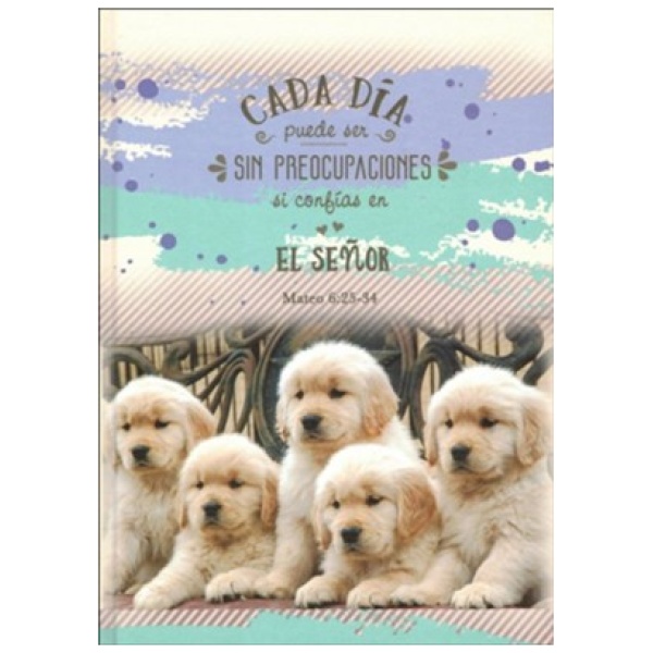 Cada Día Sin Preocupaciones - Mateo 6