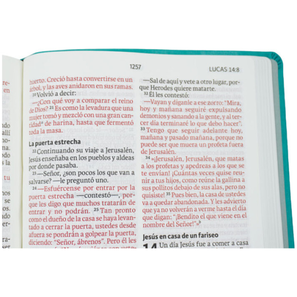 Biblia NVI aguamarina cuero italiano 13pt 080cLG - Image 4