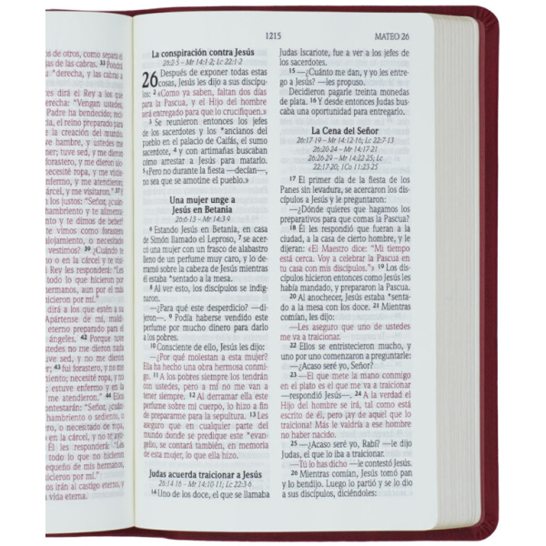 Biblia NVI Letra Grande Manual Vino 11pt cuero italiano - Image 2