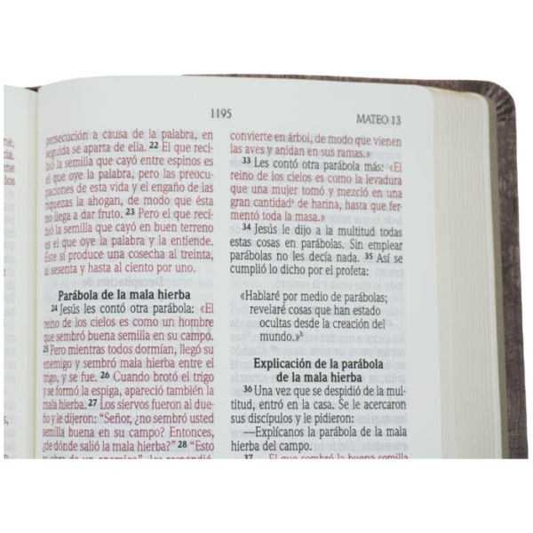 Biblia NVI Letra Grande Manual Madera 11pt cuero italiano - Image 2