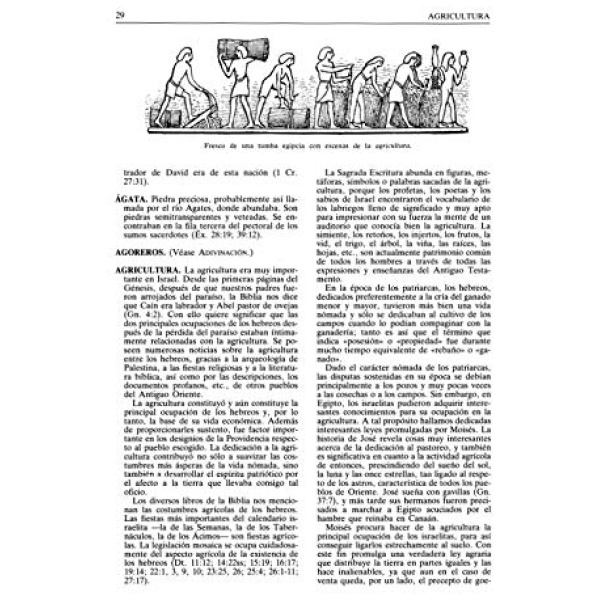 Nuevo diccionario bíblico ilustrado - Image 3