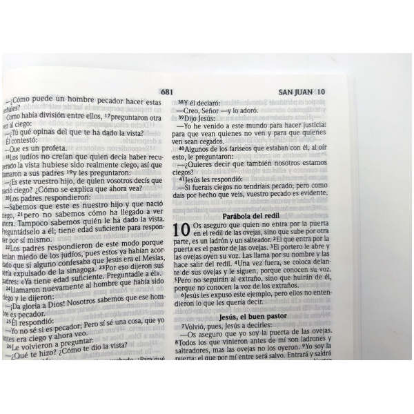 Biblia RVR2020 Eco Manual Tapa Rústica Dios Es Amor 9pt - Image 3