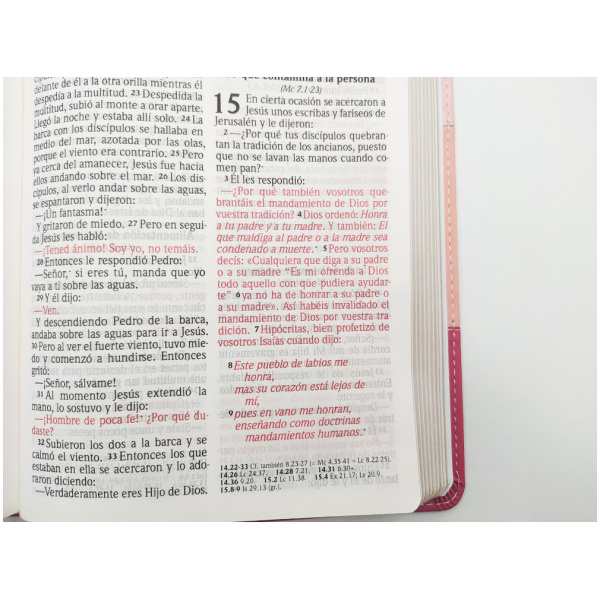 Biblia RVR2020 Lt Grande Piel Tricolor Rosa Manual 12pt 075cLGPJR - Image 4