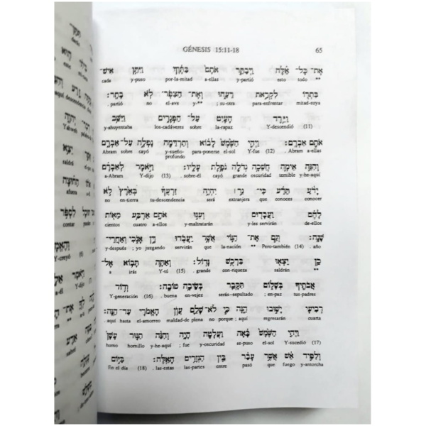 Antiguo Testamento Interlineal Hebreo-español Tomo 1 - Image 2