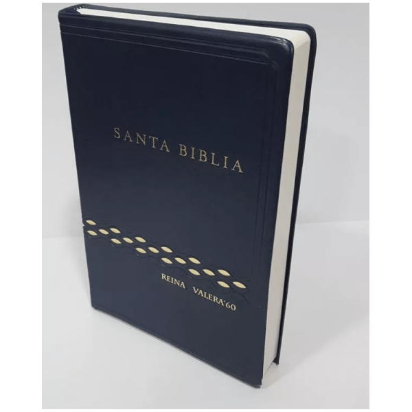 Biblia Letra Regular Rvr1960, Color Azul, Vinil