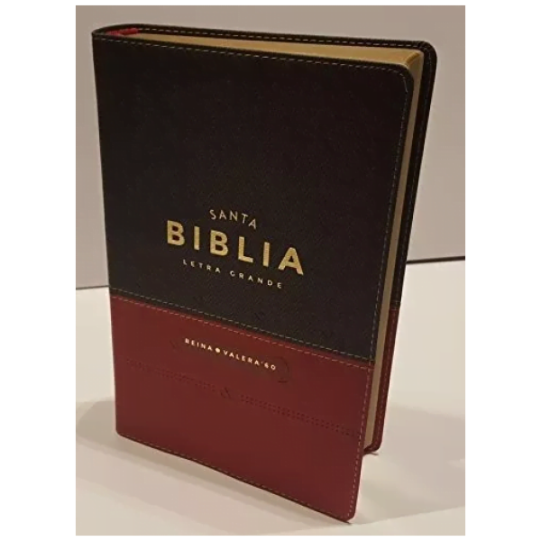 Biblia Con Concordancia Rvr1960 Letra Grande Color Gris/rojo