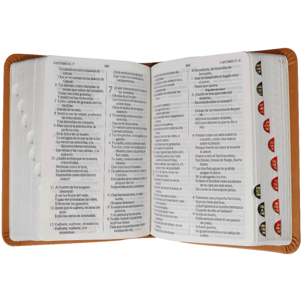 Biblia Lila Café Canto Plateado RVR025cTI - Image 2