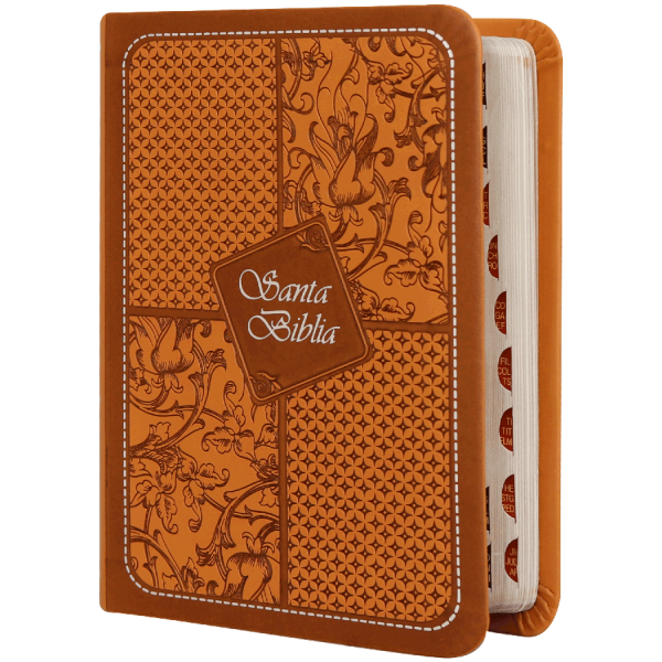 Biblia Lila Café Canto Plateado RVR025cTI