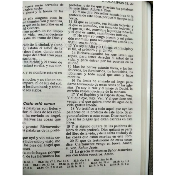 Biblia Reina Valera 60 cierre índice im piel gris - Image 3