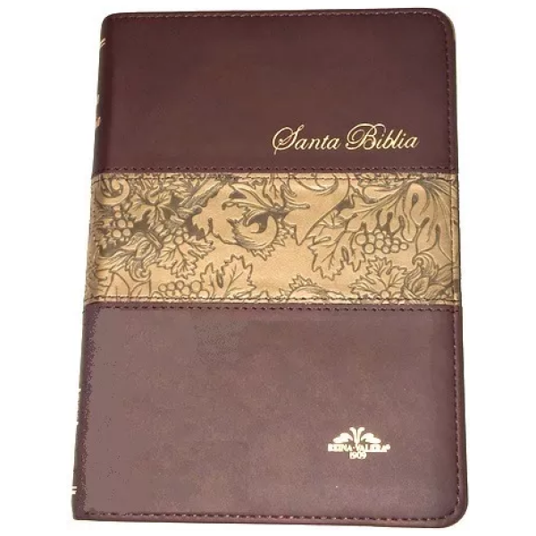 Biblia Mediana Rvr1909, Imitación Piel Cafe, Con Índice - Image 2