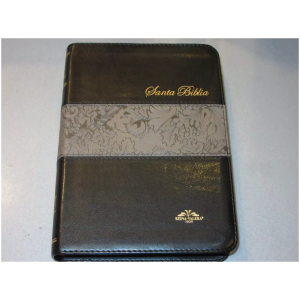 Biblia Reina Valera 1909 (antigua Versión) Negro C/índice