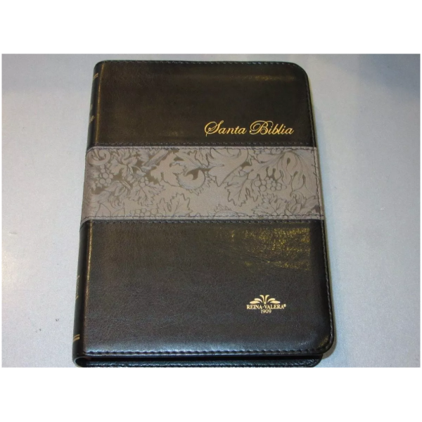 Biblia Reina Valera 1909 (antigua Versión) Negro C/índice