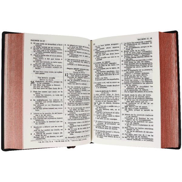 Biblia RVR60 chica vinil cafe imper RVR042c - Image 2