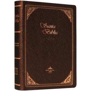 Biblia RVR60 chica vinil cafe imper RVR042c