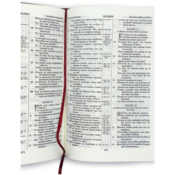 Biblia Reina Valera 1909 Flexible Café VR052 - Image 2