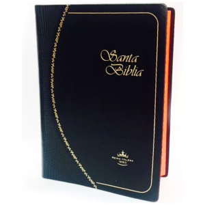 Biblia RVR 1960 vinil negro RVR022c