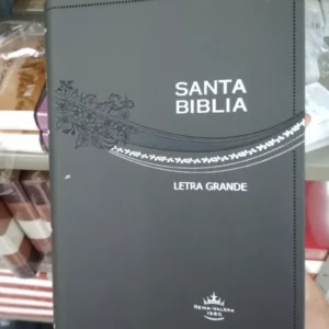 Biblia Letra Grande, Rvr1960, Gris