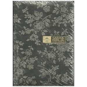 Biblia mediana letra grande plata negro rvr044czlg