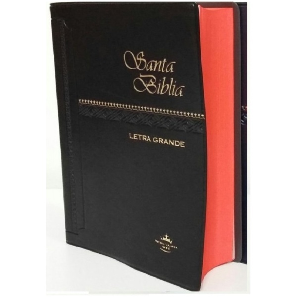 Biblia Rvr1960 Vinil Color Negro Letra 8 puntos
