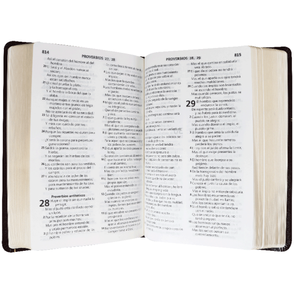 Biblia RVR60 Let Grande imit piel Tiara/cafe oscuro RVR065CLG - Image 3