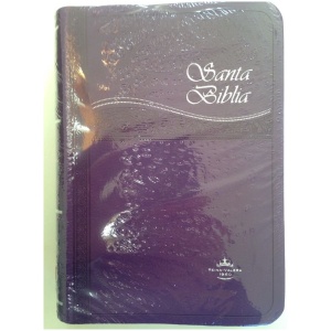 Biblia chica imitación piel morada letra grande RVR045cLGTI