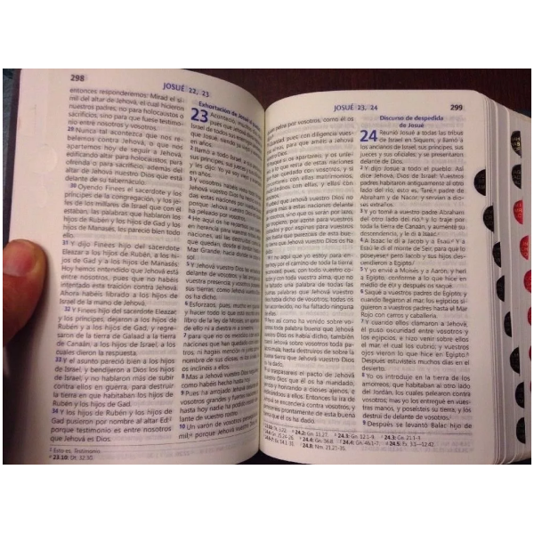 Biblia Chica, Letra 8 Pts, Índice Rvr1960, Tiara/gris/verde - Image 2