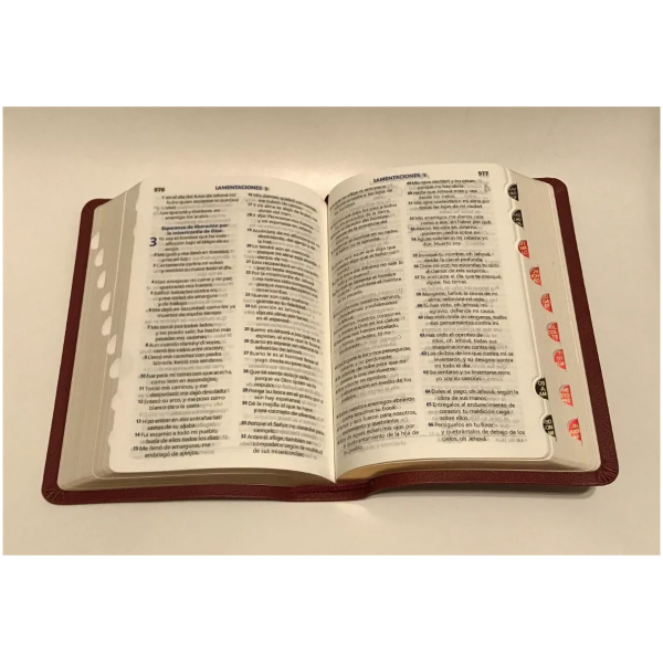 Biblia Chica L/grande, Índice Rvr1960 Imitación Piel Borgoña - Image 2