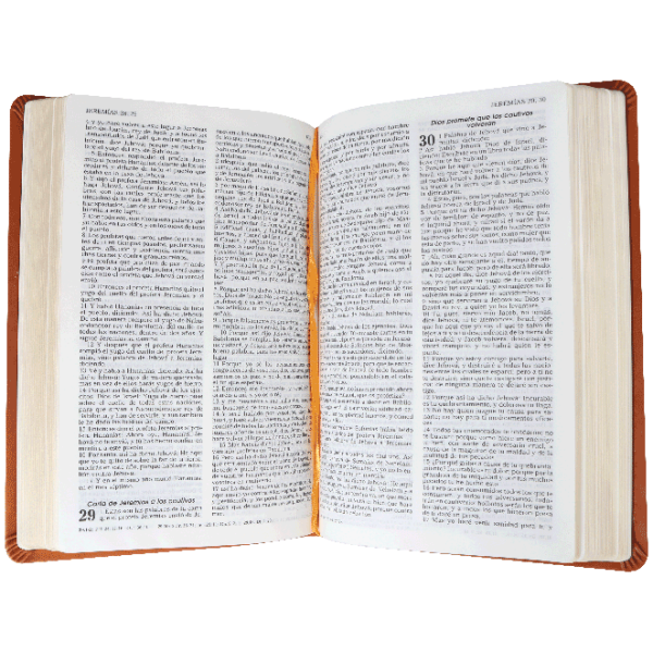 Biblia RVR60 Marron RVR065c mediana - Image 2