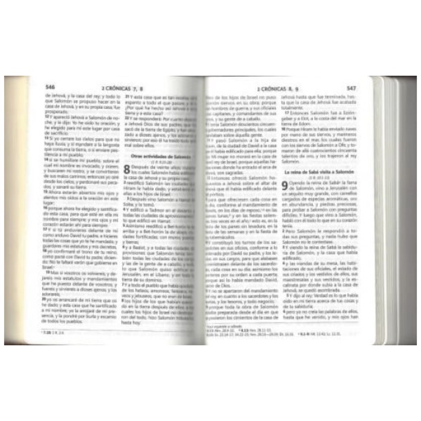 Biblia Reina Valera 1960 cierre imitación piel letra media R - Image 3