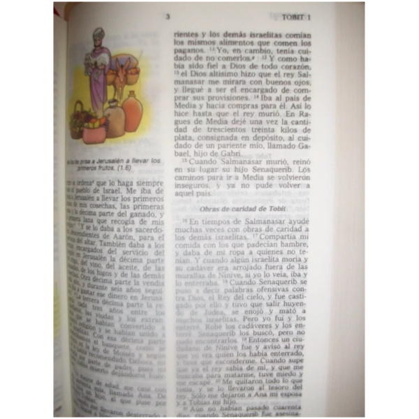 Biblia Dios Habla HOY DHH vinil negro - Image 2