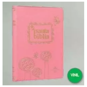 Santa Biblia Rv60, Chica, Vinil, Rosa