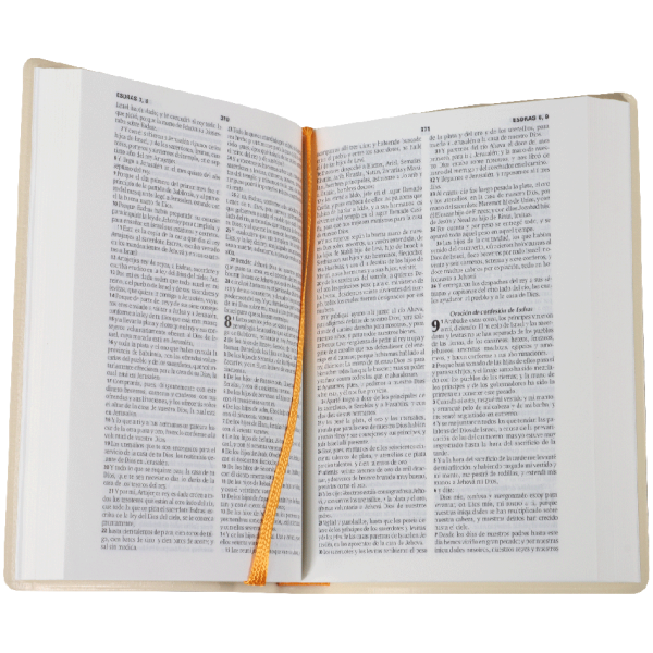 Biblia RVR1960 chica vinil PC beige RVR042e - Image 2