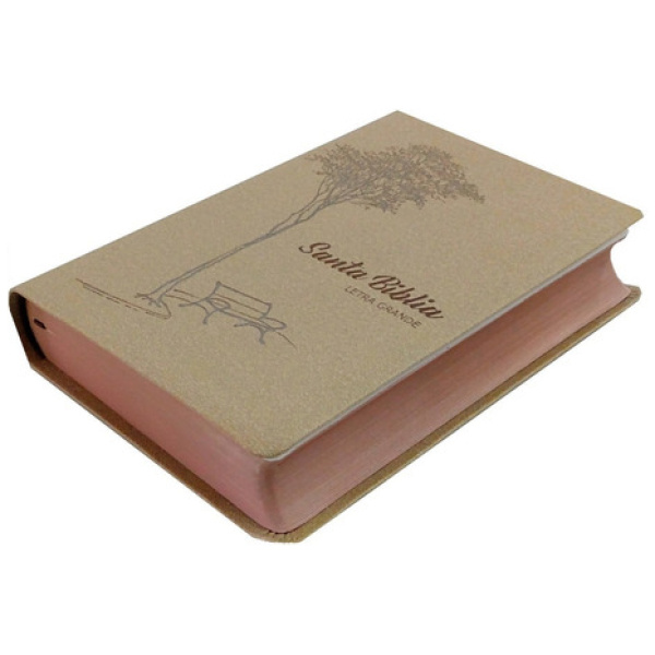 Biblia RVR1960 Tapa Blanda Café - Image 2
